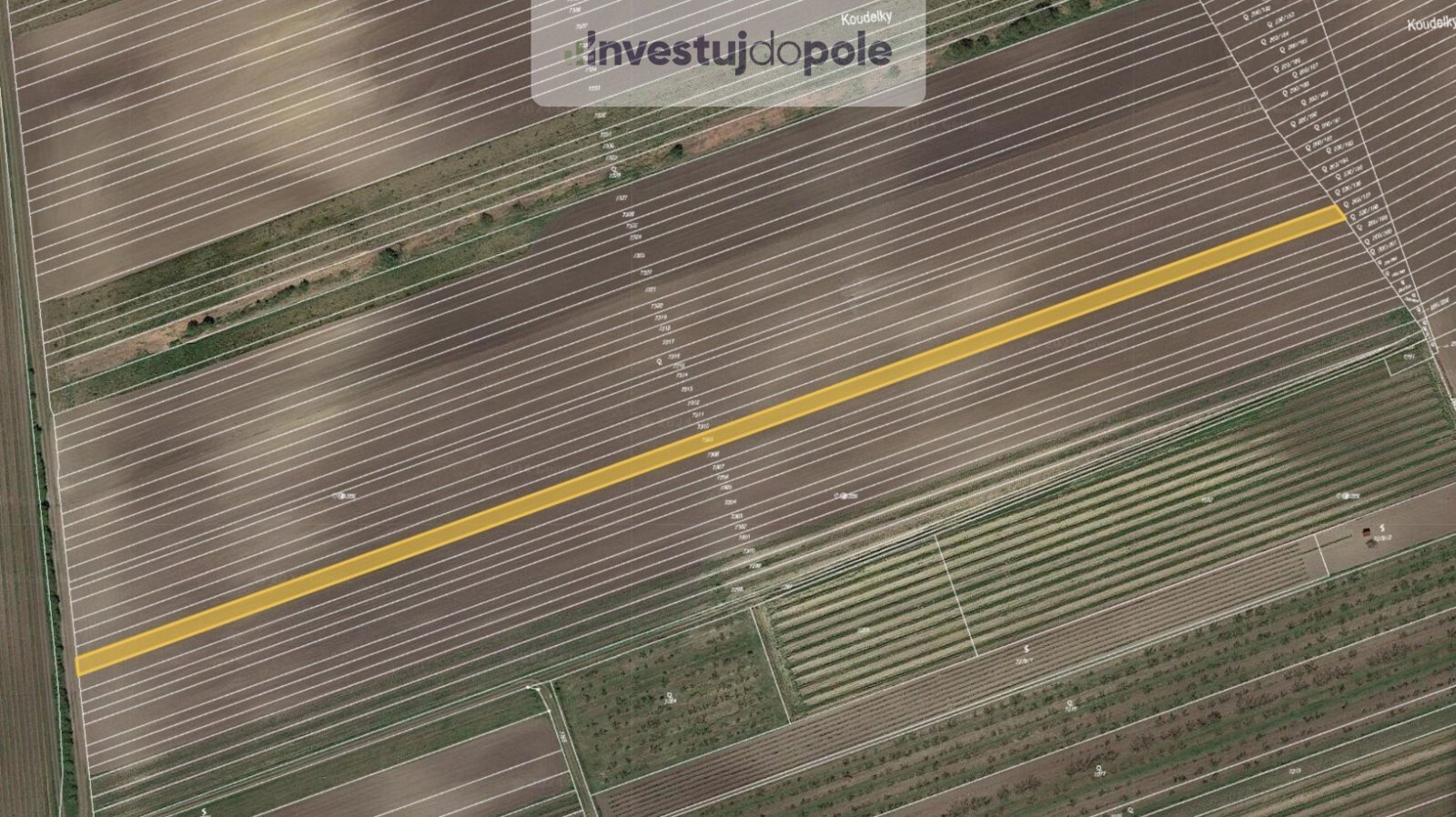 Velké Pavlovice.jpg