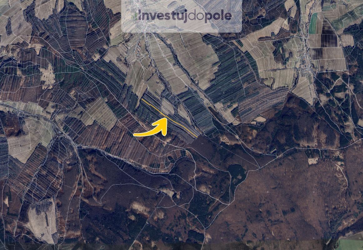 Bez názvu (960 x 800 px) (1162 x 800 px) - 2025-06-18T090251.481.jpg