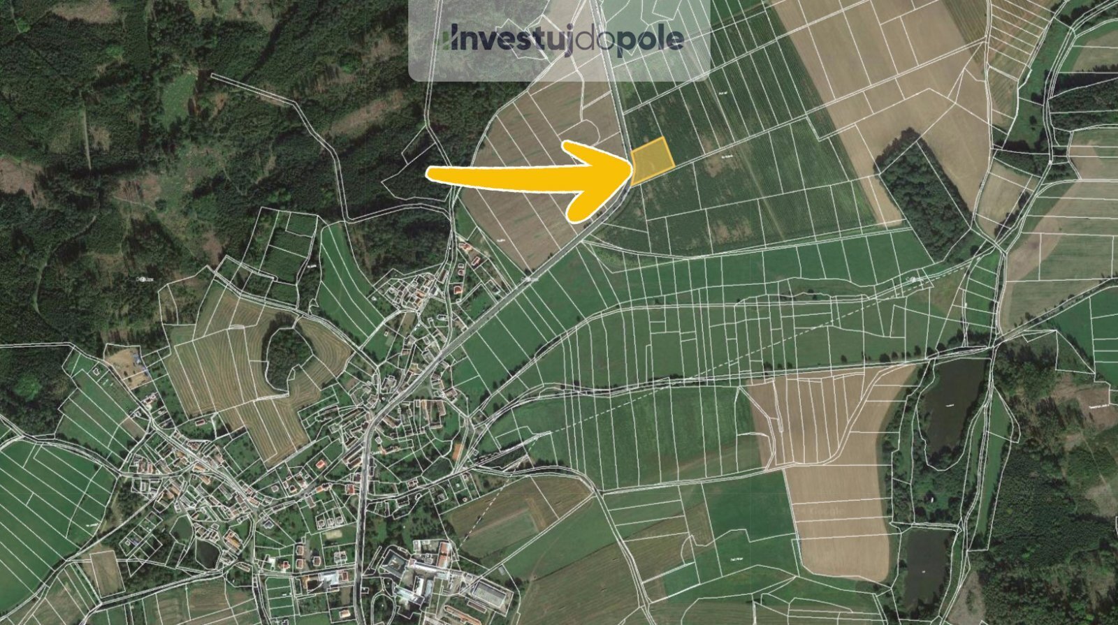 Oselce 5.jpg