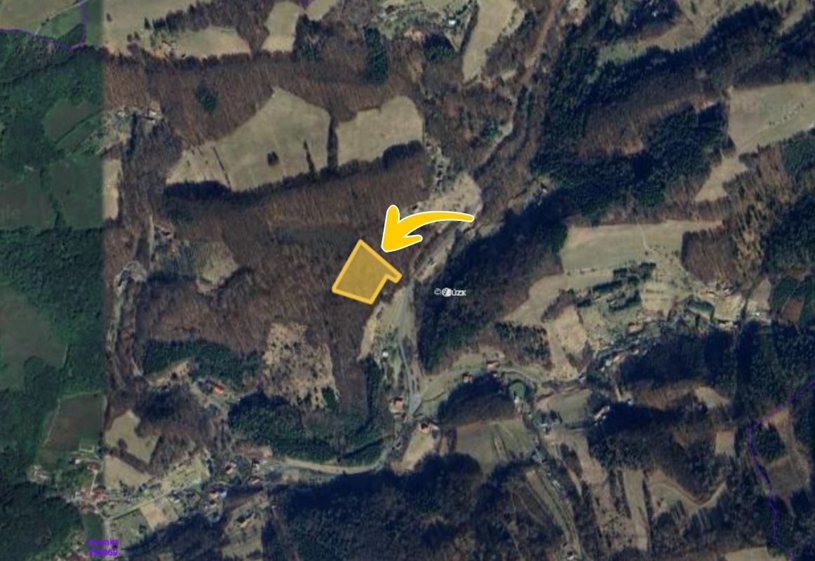 Prodej lesa 10836 m², Vsetín