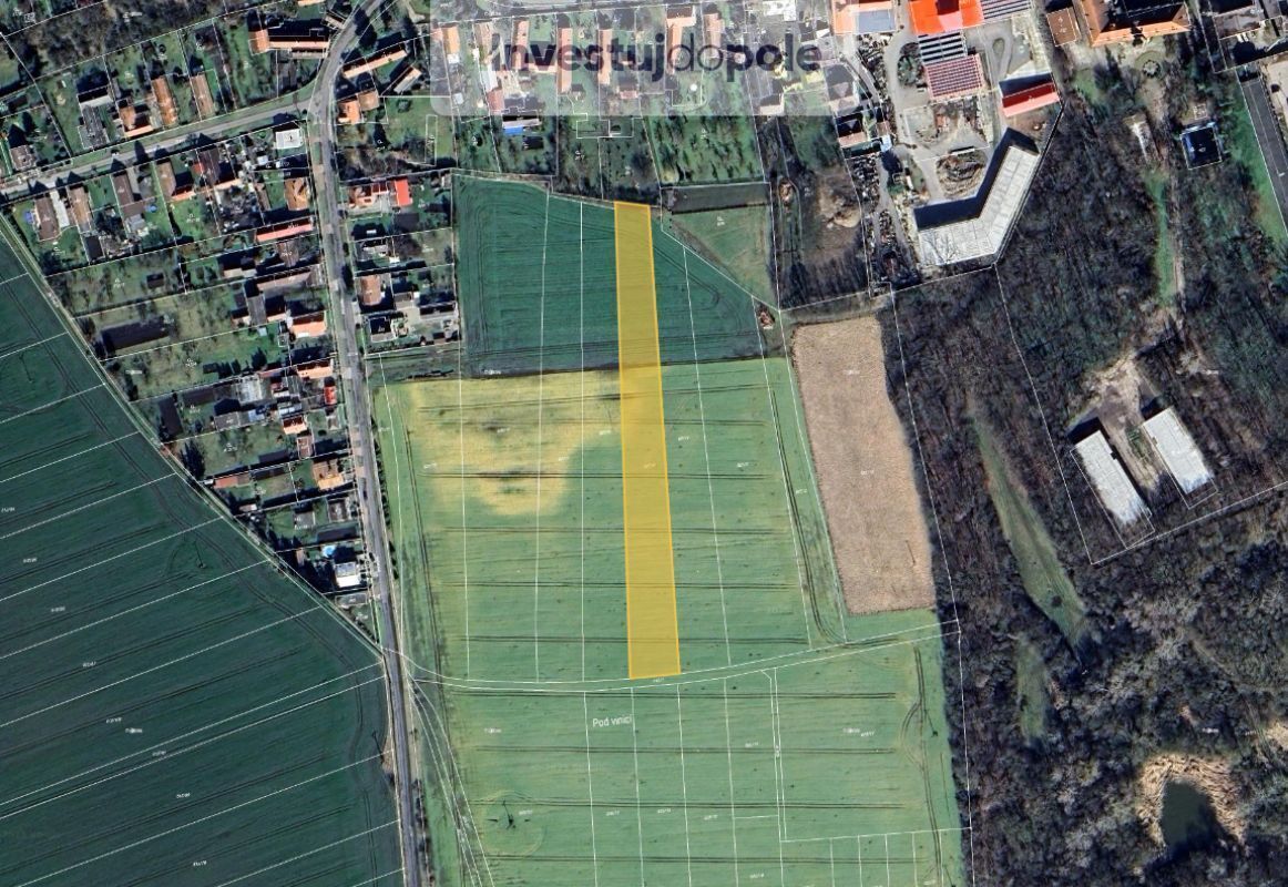 Bez názvu (960 x 800 px) (1162 x 800 px) - 2025-05-30T074637.477.jpg