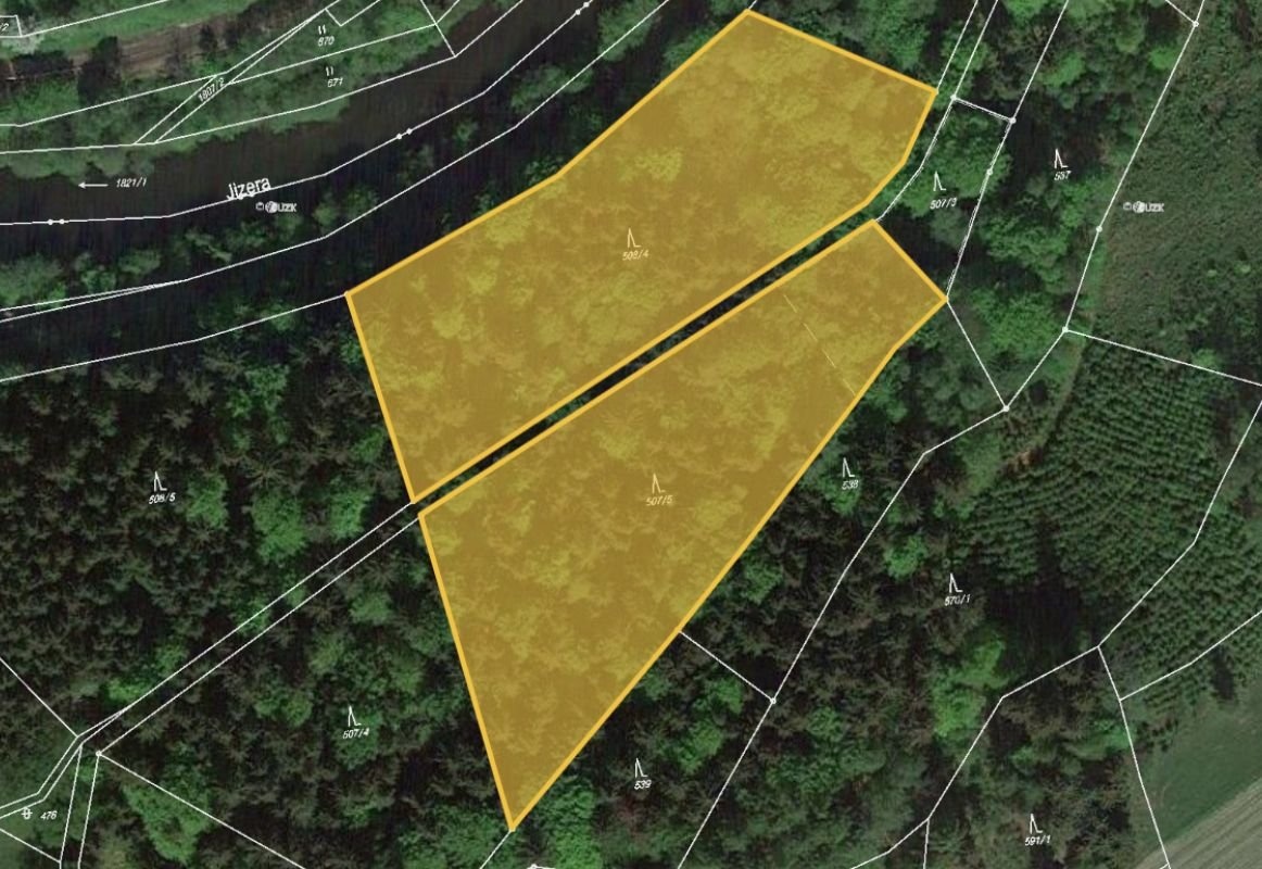 Prodej lesa Poniklá 180 000 Kč, foto 1