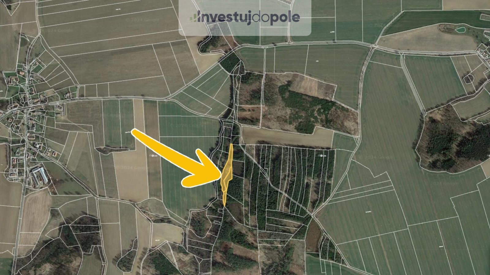 Hlasivo 2.jpg