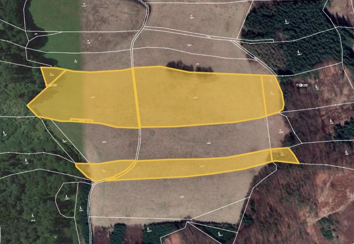 Prodej zemědělské půdy Městečko Trnávka 999 000 Kč, foto 1