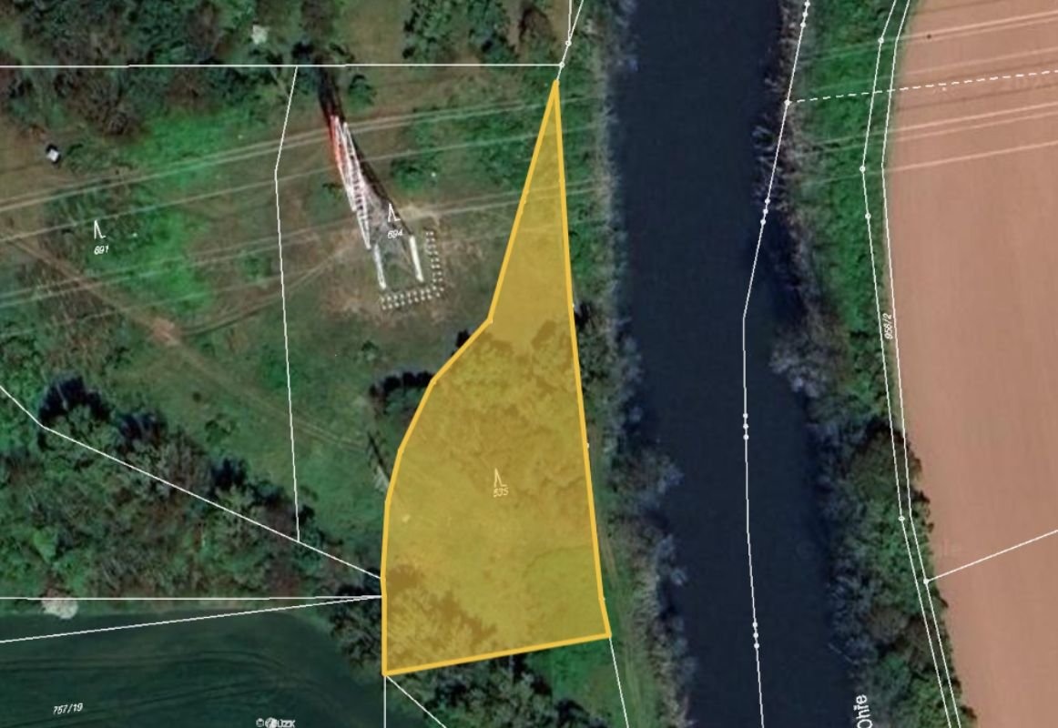 Prodej lesa Brňany, foto 1