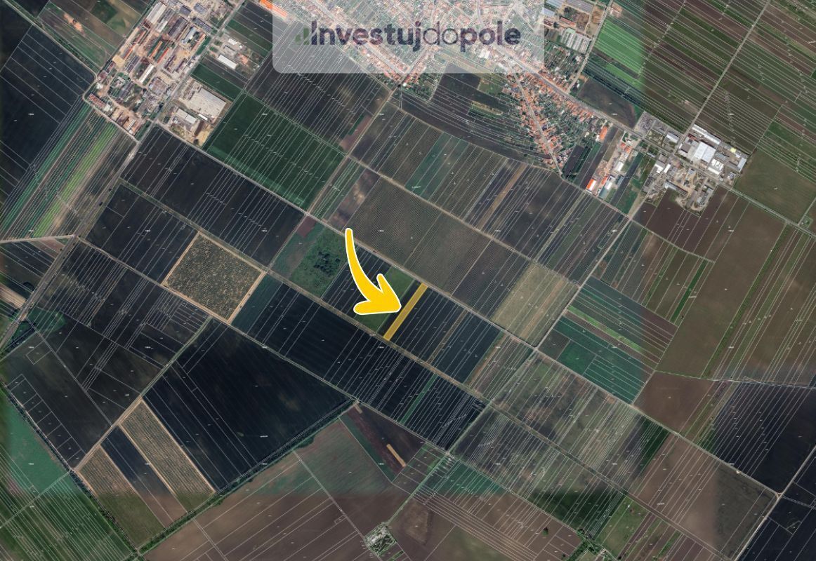Bez názvu (960 x 800 px) (1162 x 800 px) - 2025-06-11T095823.995.jpg