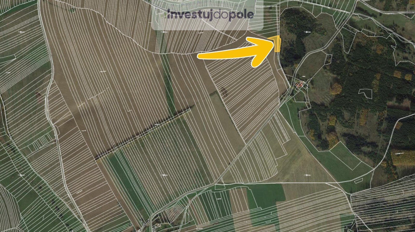 Předín 8.jpg