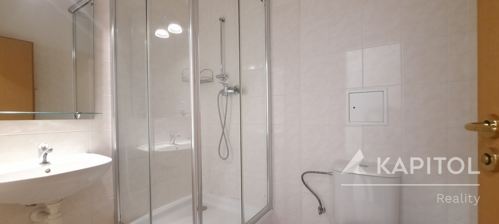 Koupelna se sprchovým koutem a WC
