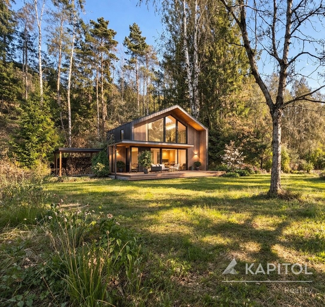 Vizualizace možné budoucí chaty