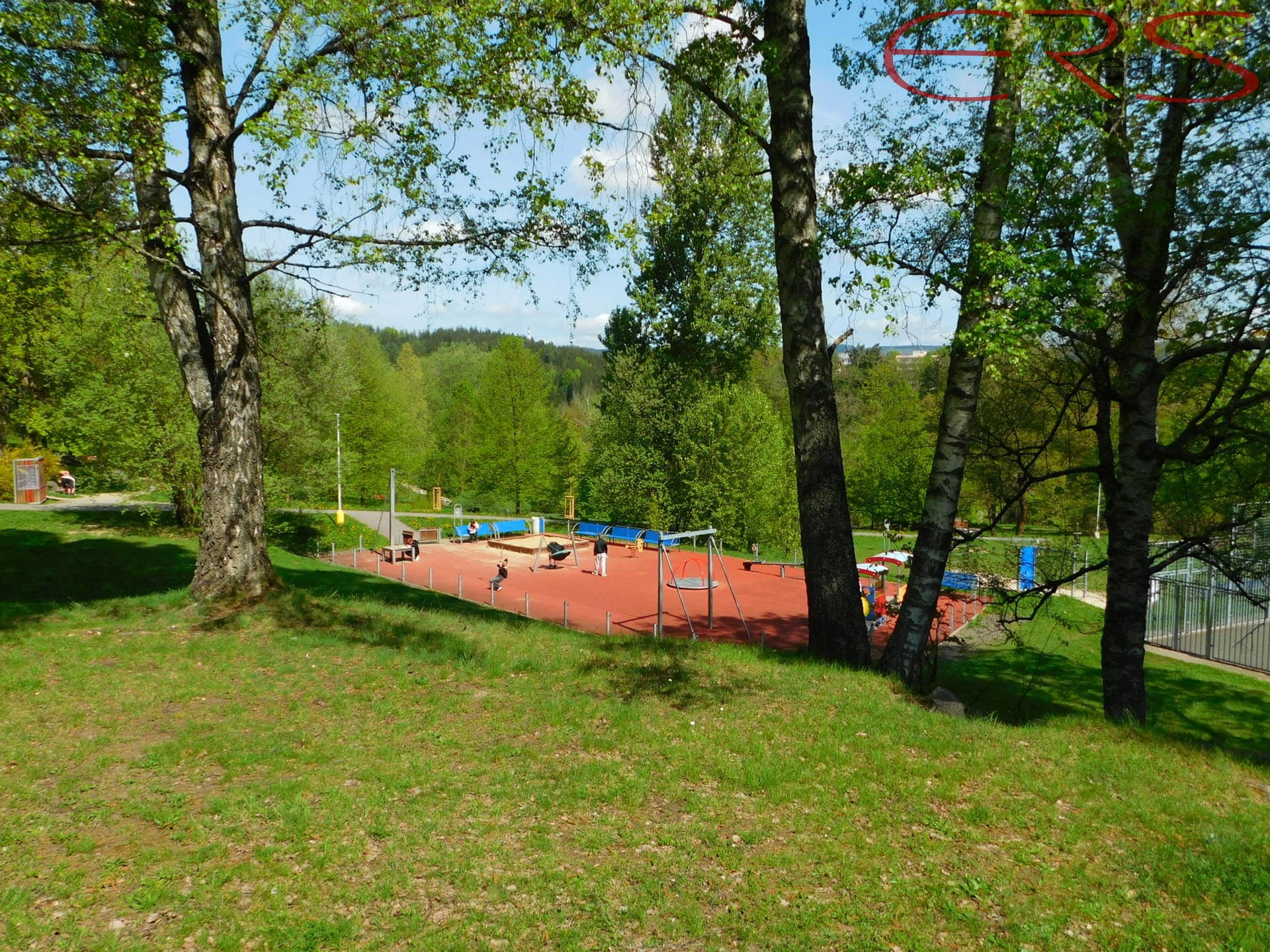 DSCN5583
