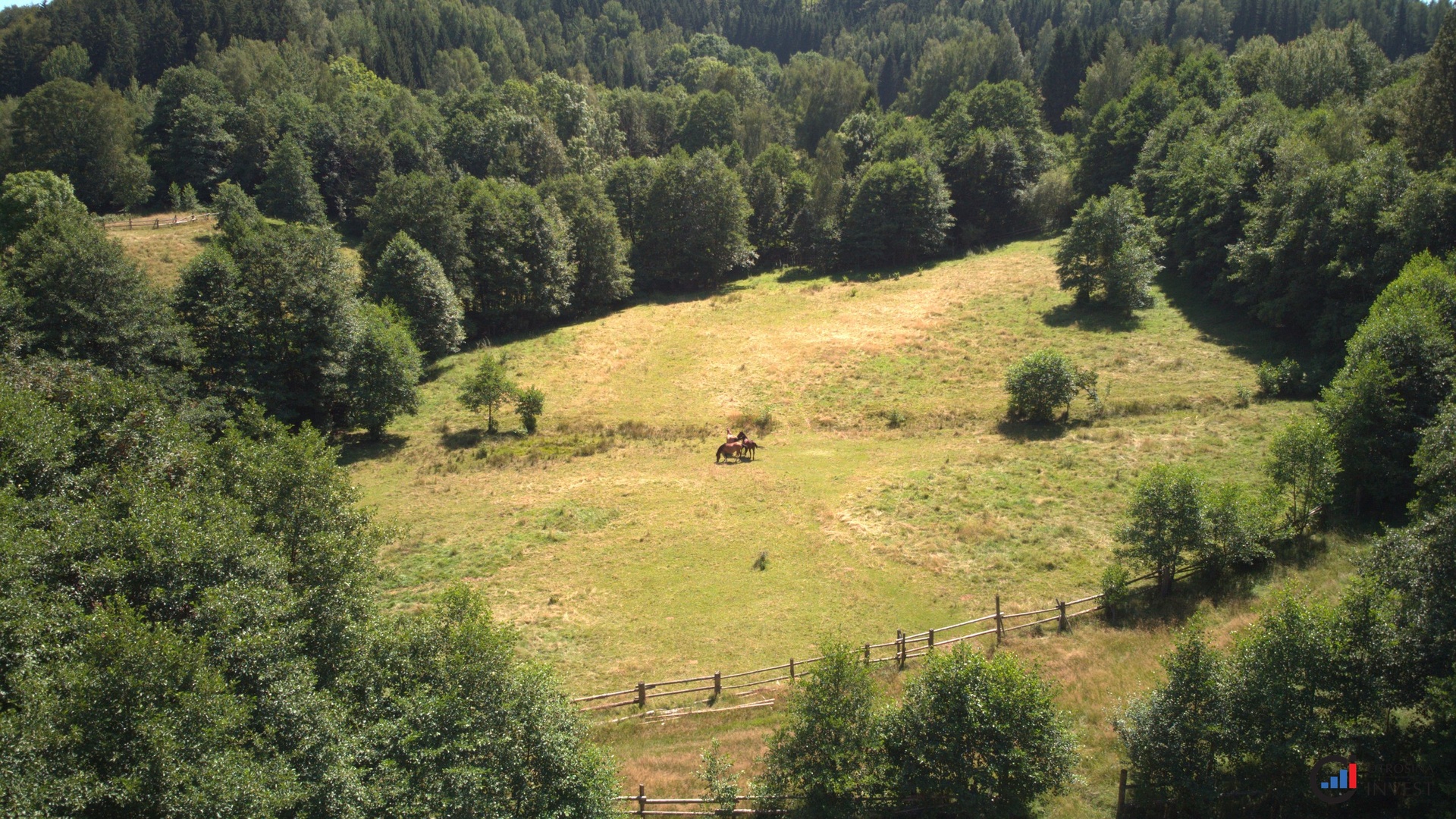 Prodej pozemku 3 027 m² - Olešnice v Orlickýc