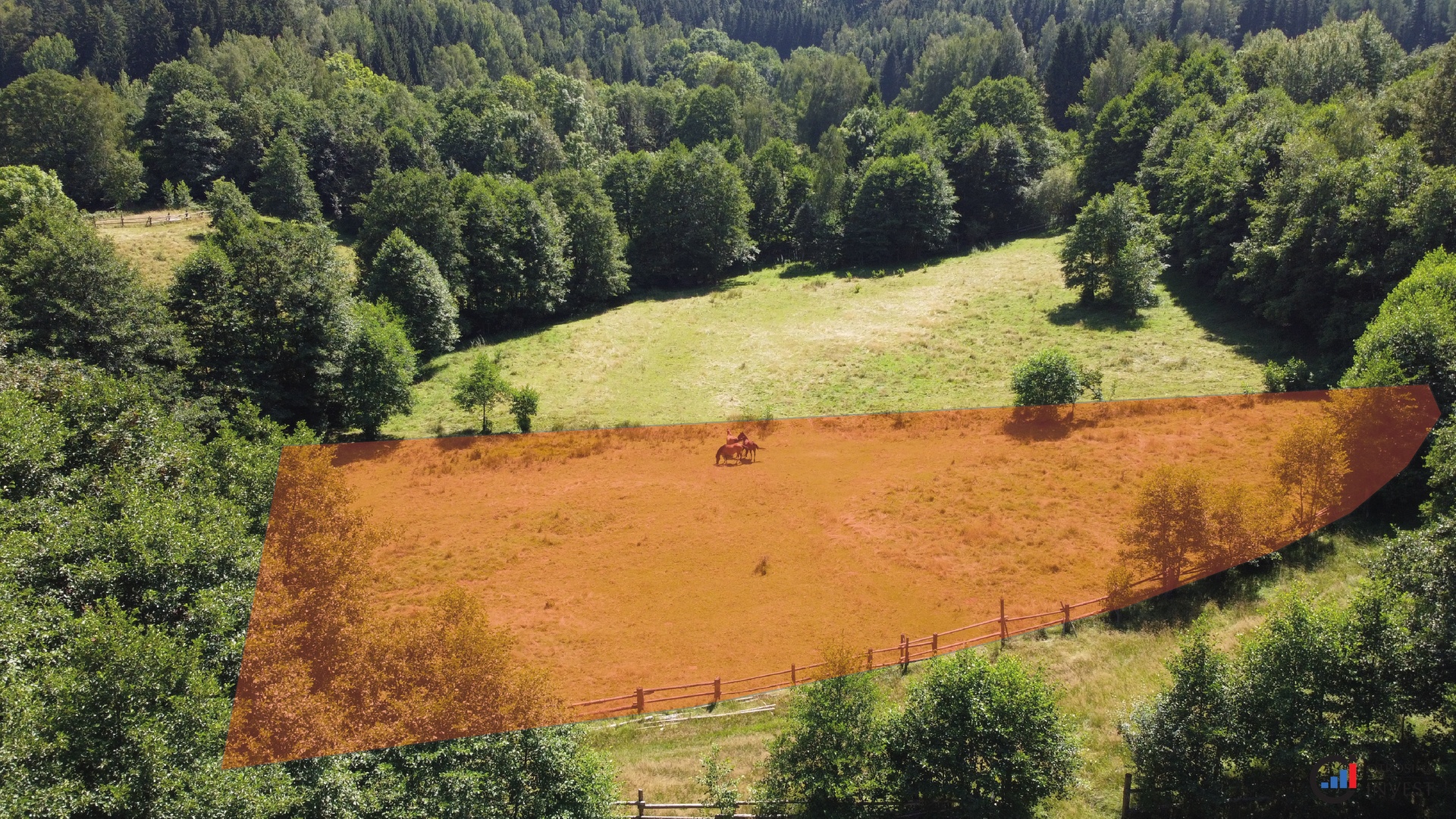 Prodej pozemku 3 118 m&sup2; - Olešnice v Orlických horách