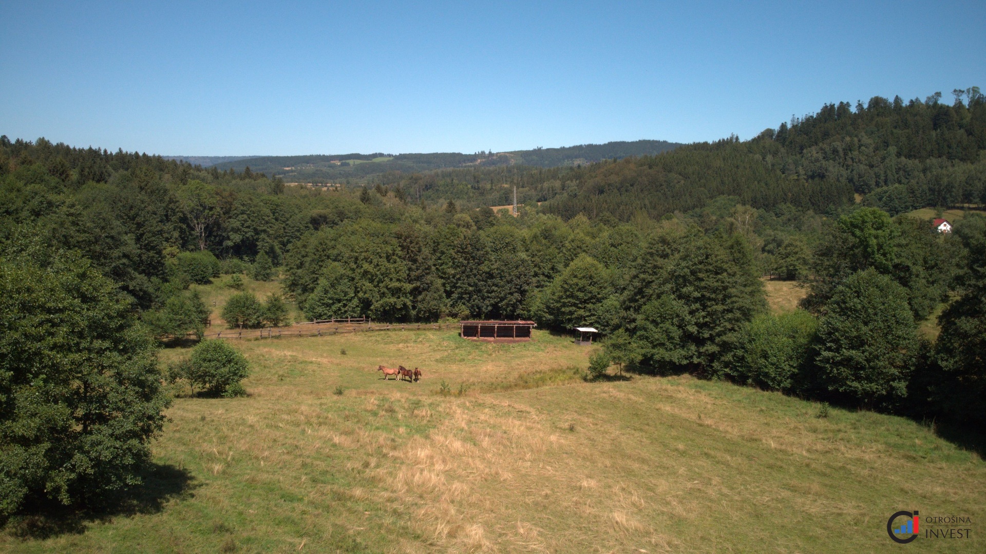 Prodej pozemku 3 118 m² - Olešnice v Orlickýc