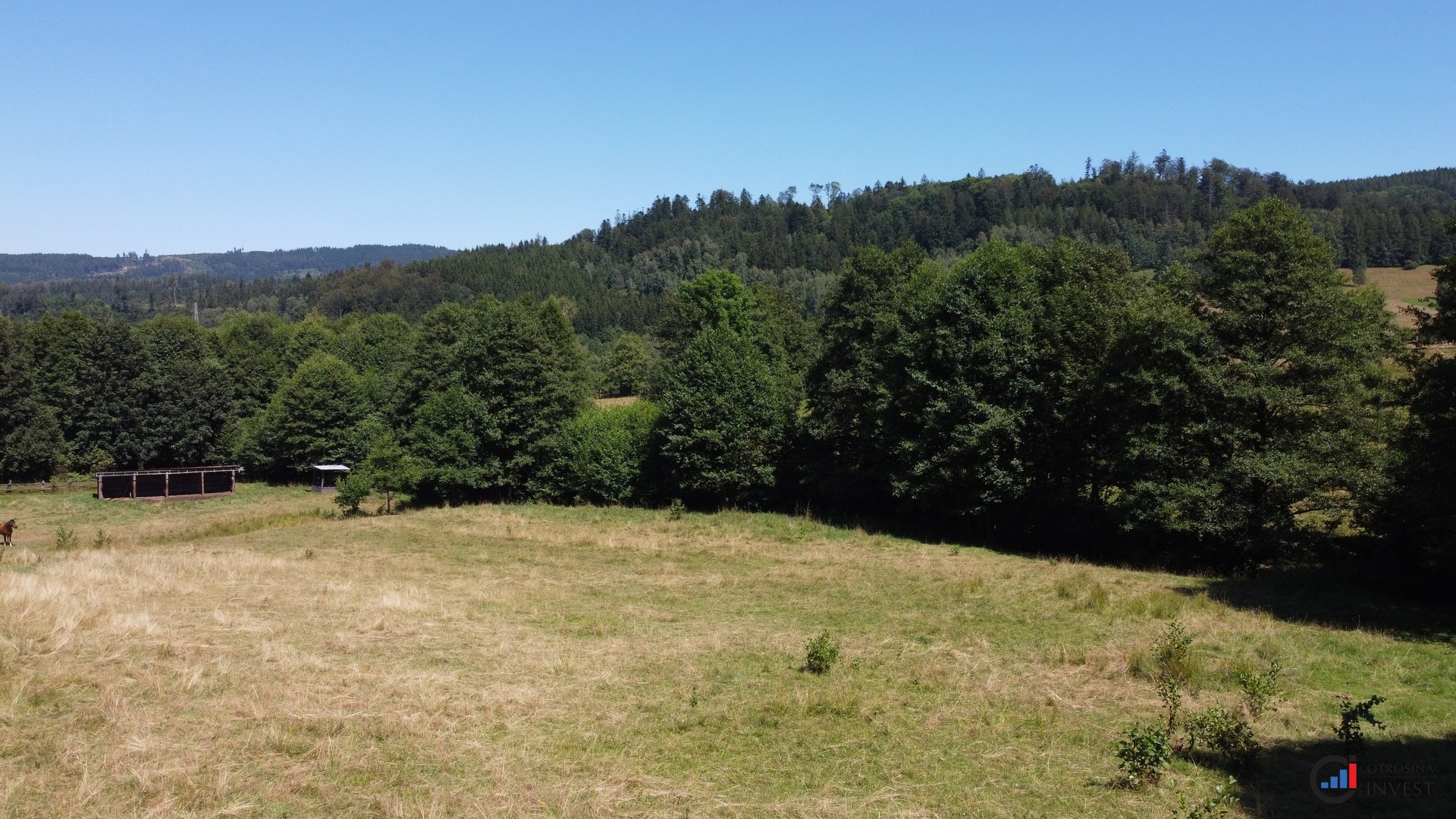 Prodej pozemku 3 446 m&sup2; - Olešnice v Orlických horách