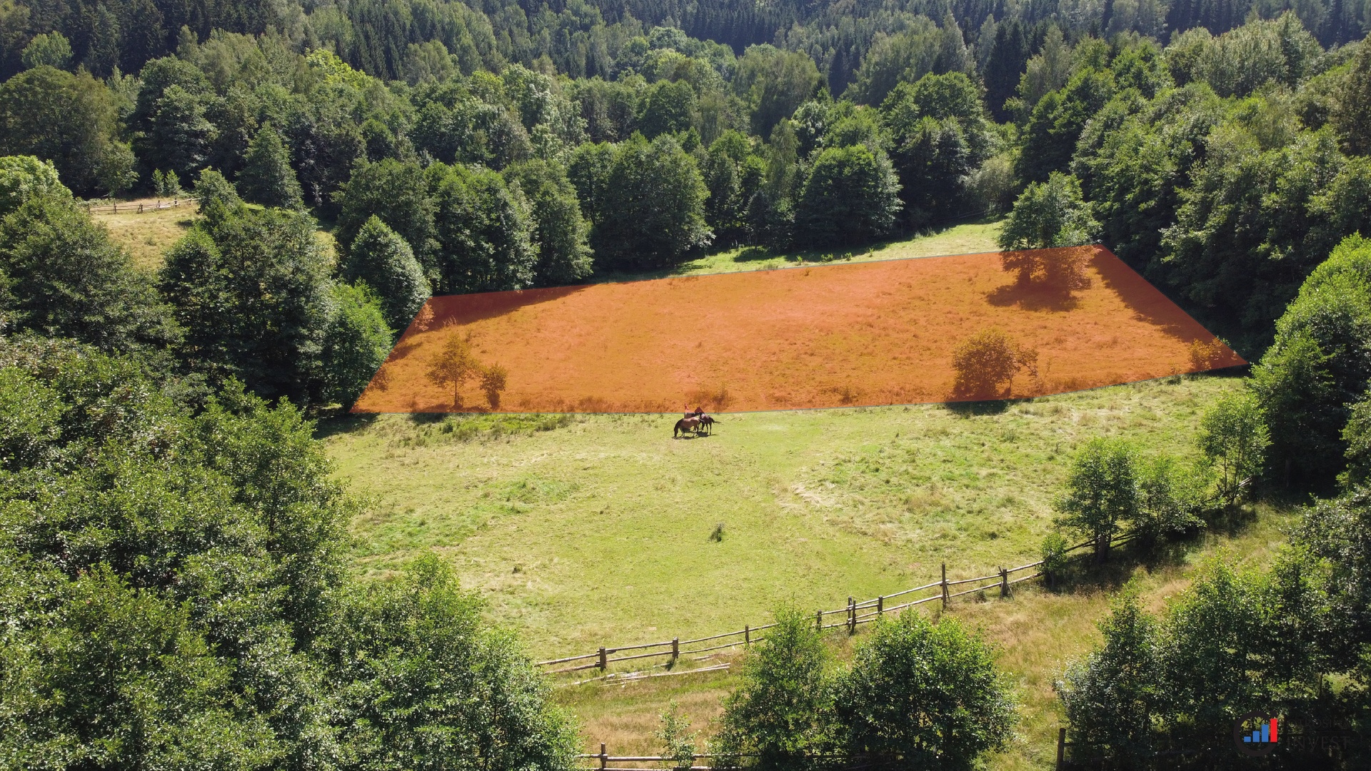 Prodej pozemku 3 027 m&sup2; - Olešnice v Orlickýc