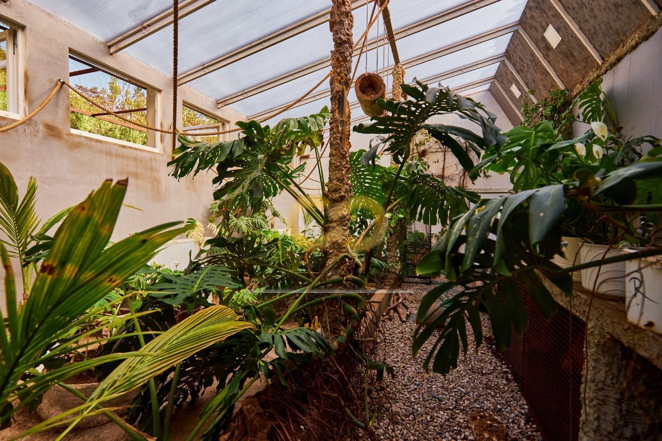 23-zimní zahrada.jpg