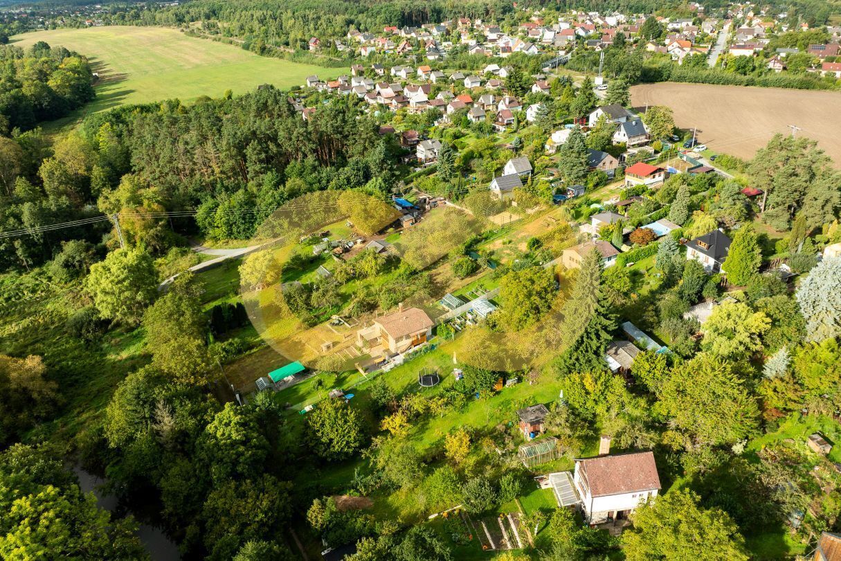 14-dron.jpg