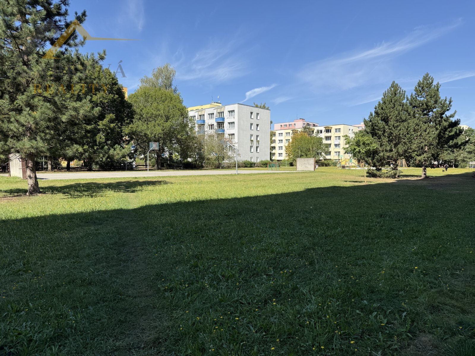 IMG_6712.jpeg