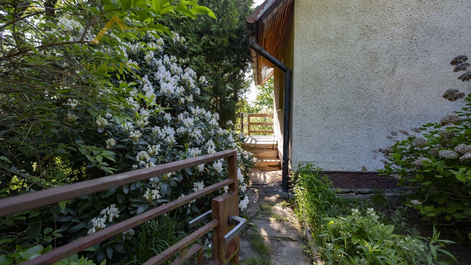 DSCF3611.JPG