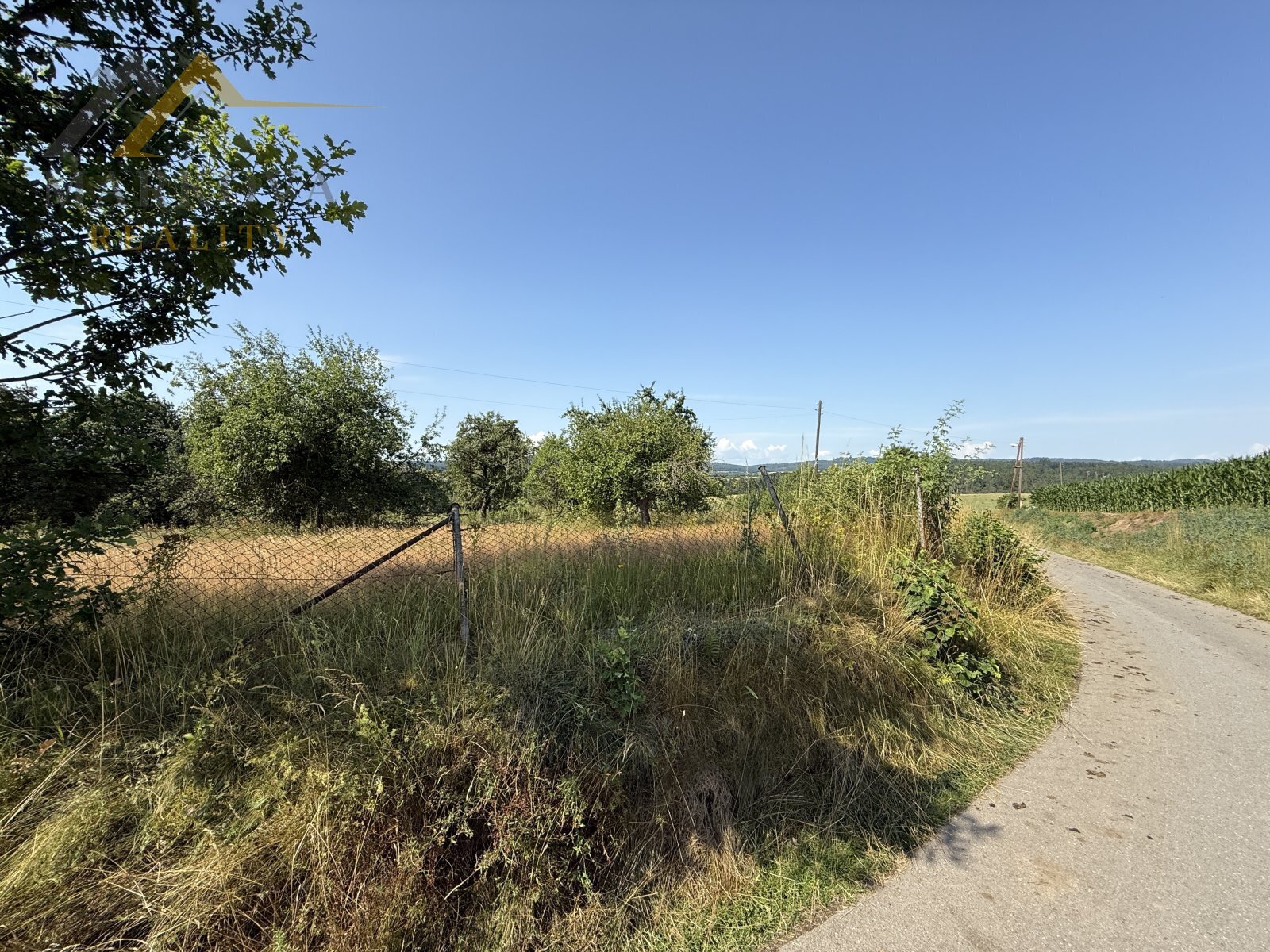 IMG_5175.jpeg