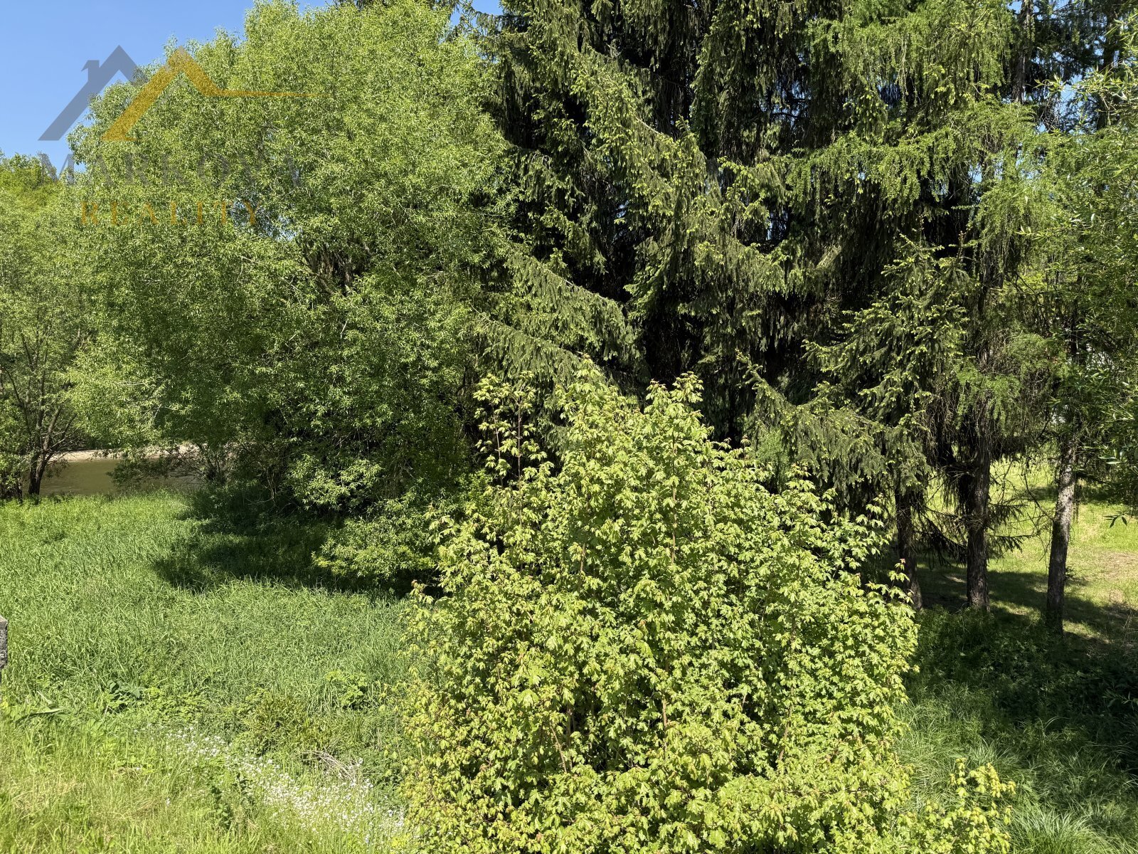 IMG_2553.jpeg