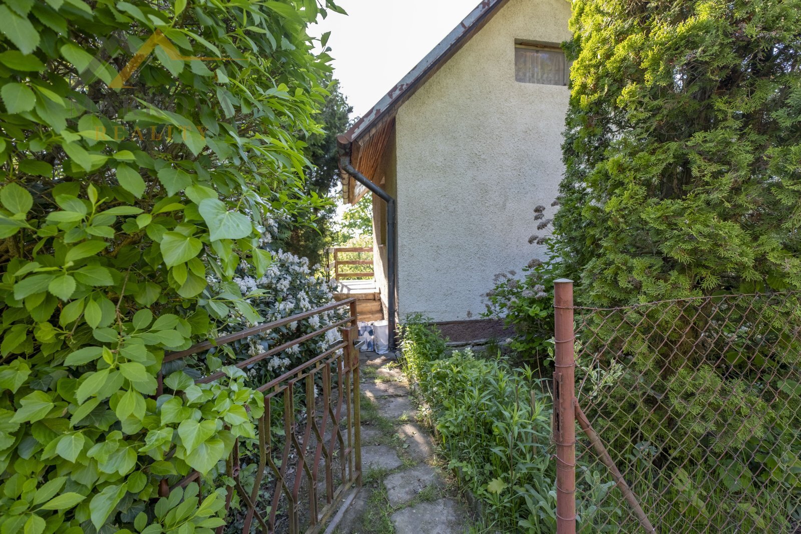 DSCF3612.JPG