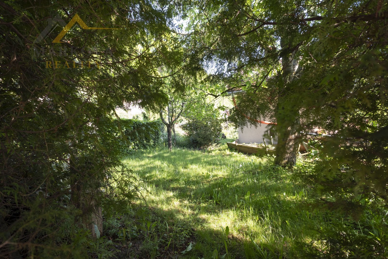 DSCF3623.JPG