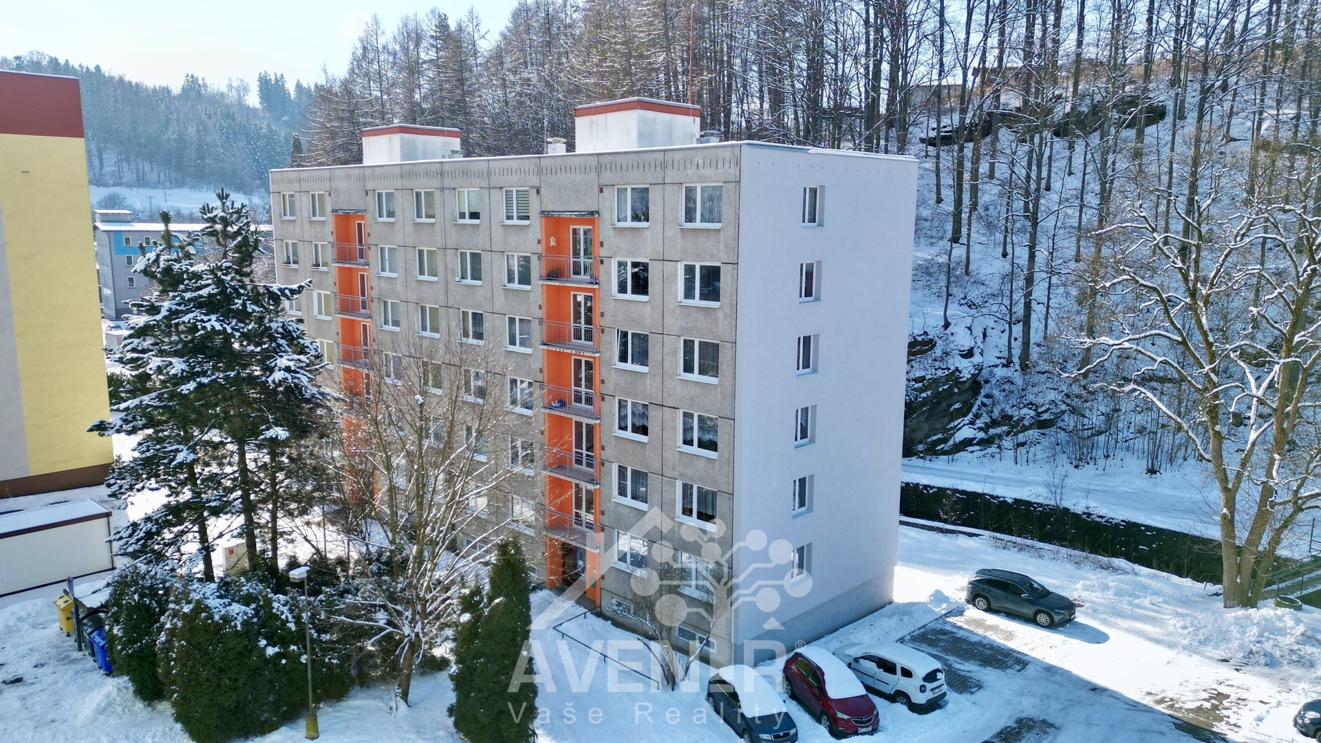 dji_fly_20260219_115414_124_1771594178452_photo