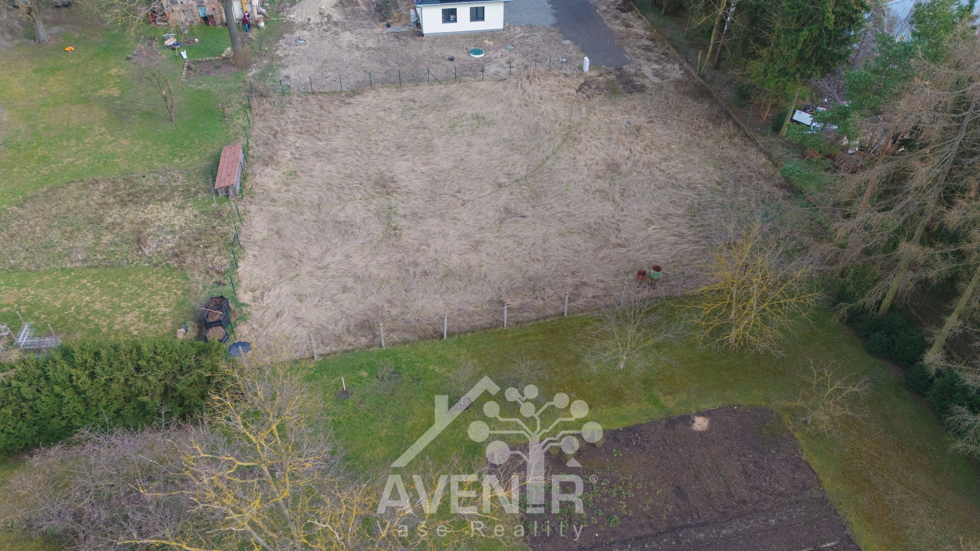 dji_fly_20260314_145018_0371_1773600799673_photo