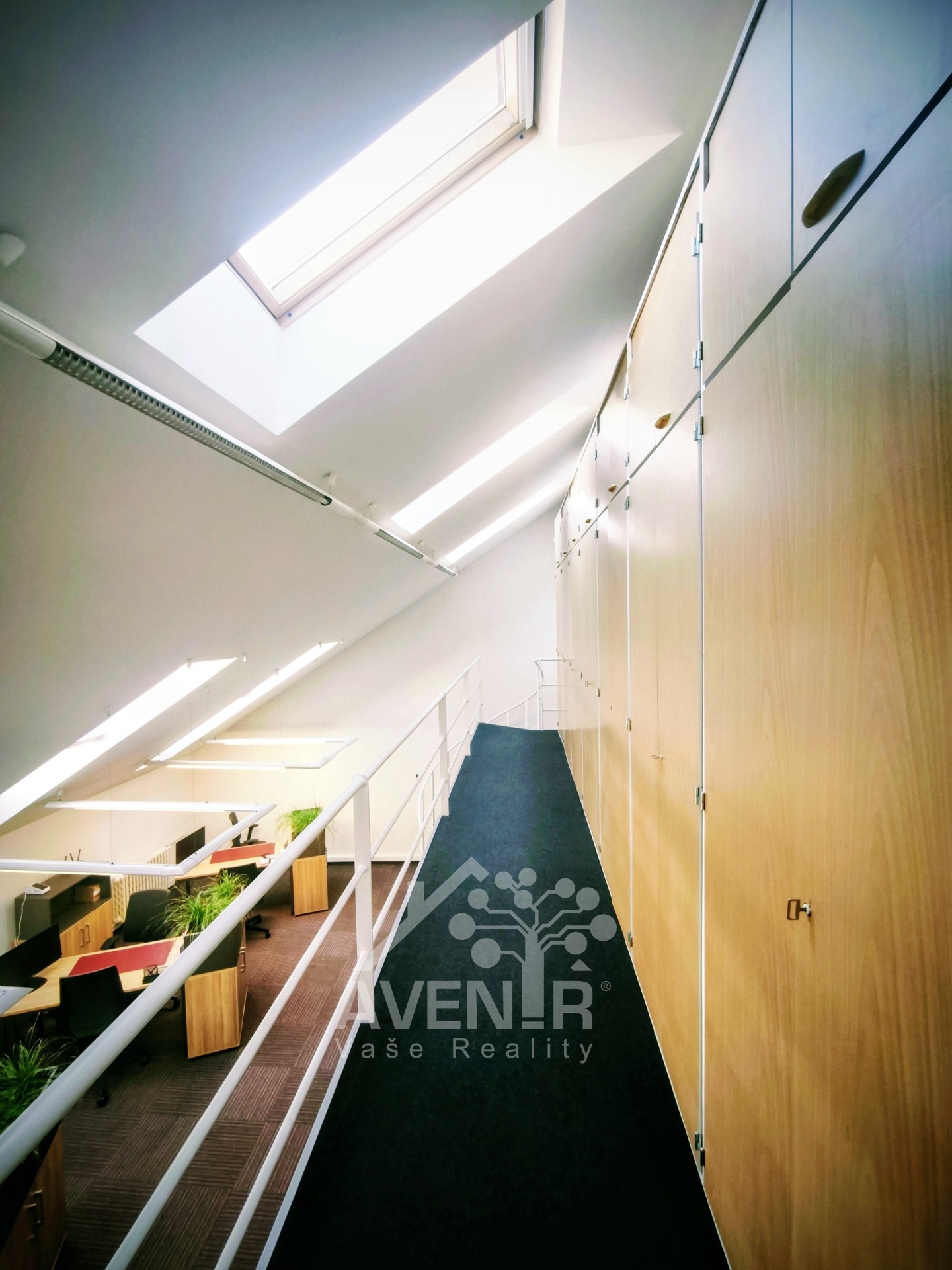 IMG_20260305_093217~2