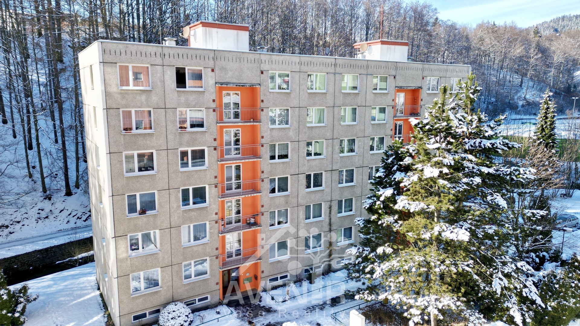 dji_fly_20260219_125906_136_1771594176078_photo