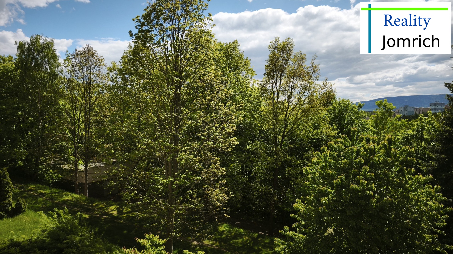 IMG_20250509_141823