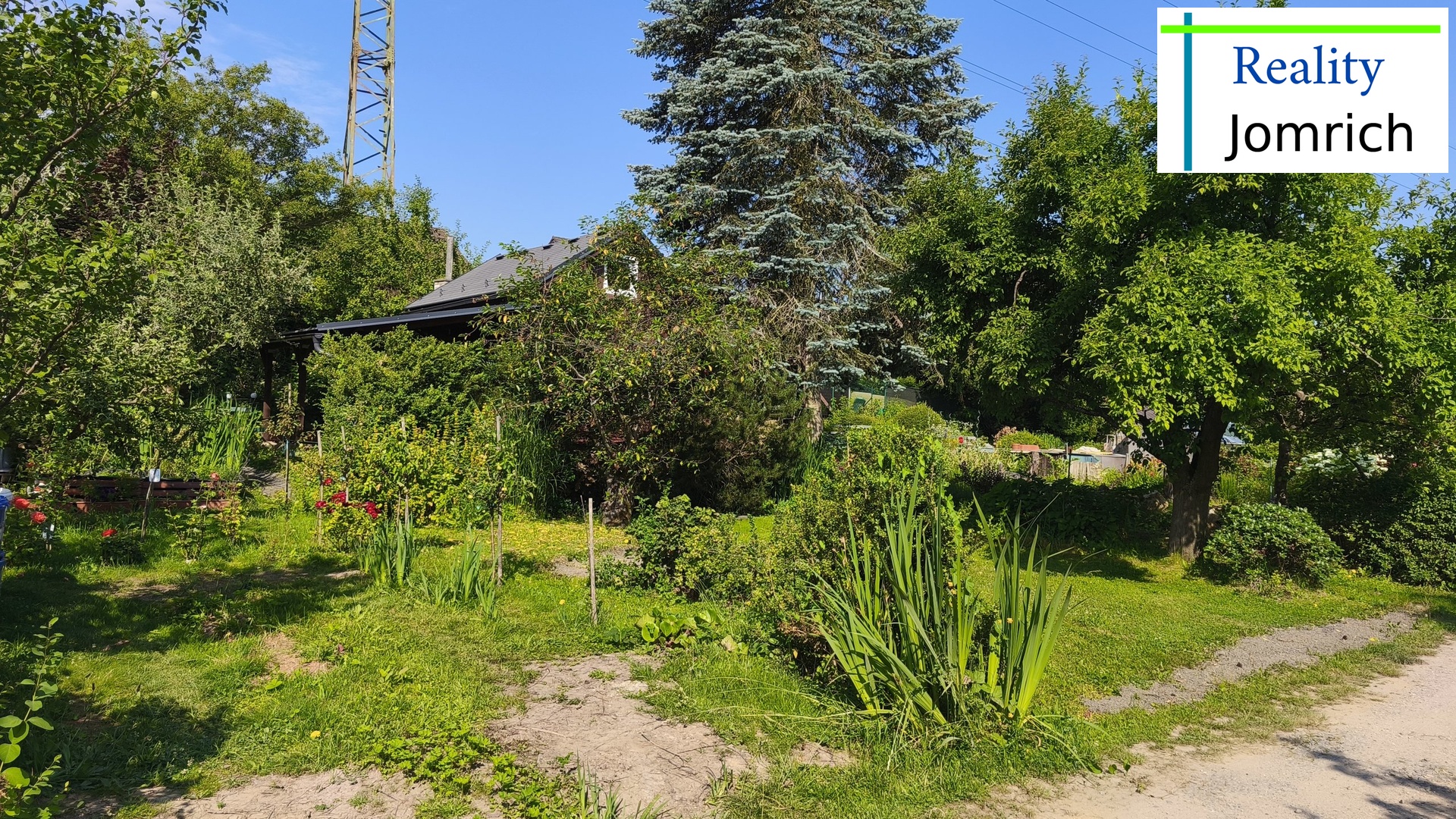 IMG_20250703_092053