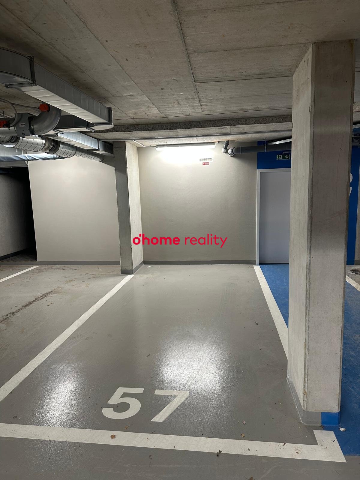 WhatsApp Image 2026-02-11 at 20.21.04