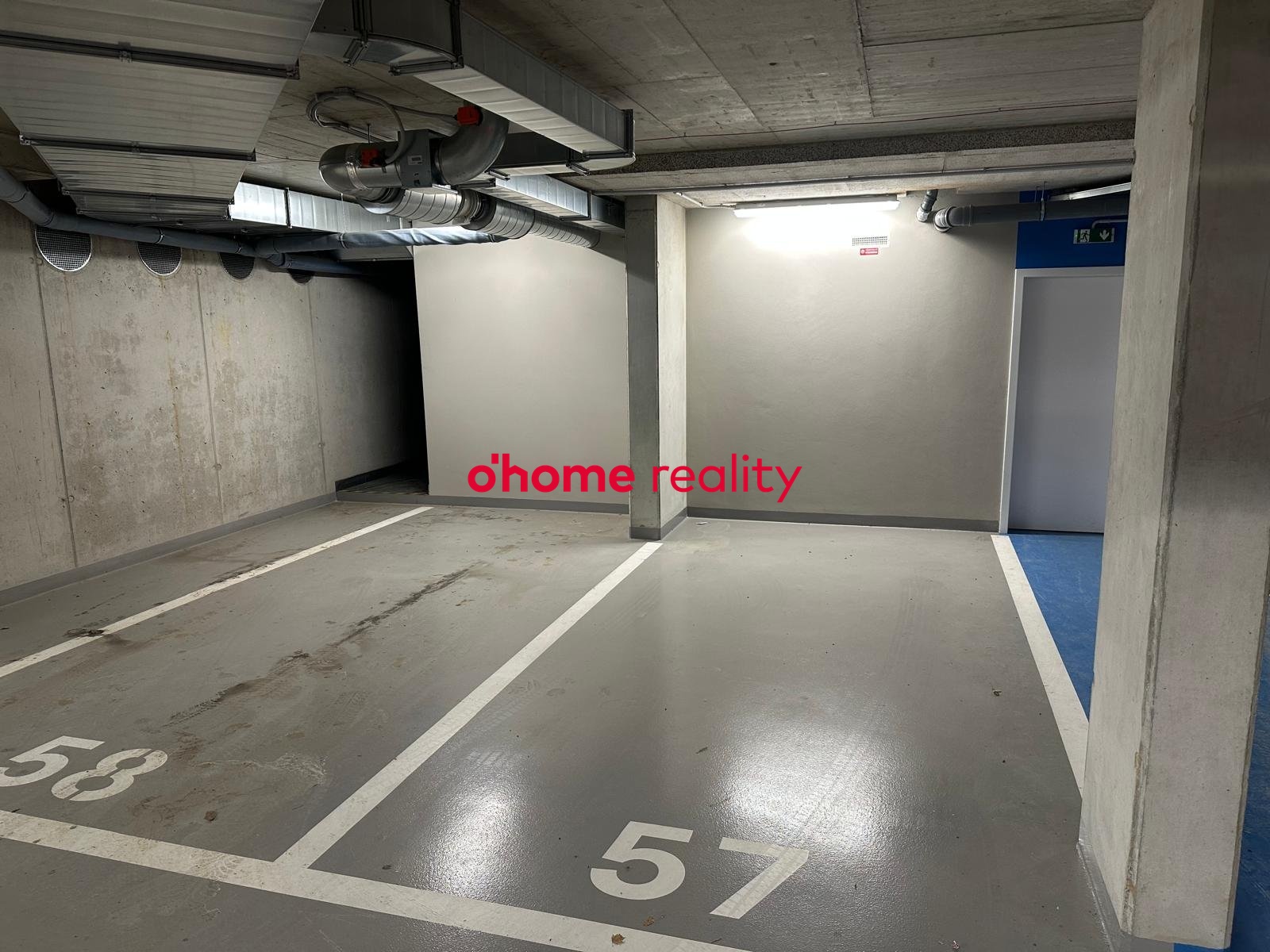 WhatsApp Image 2026-02-11 at 20.21.05