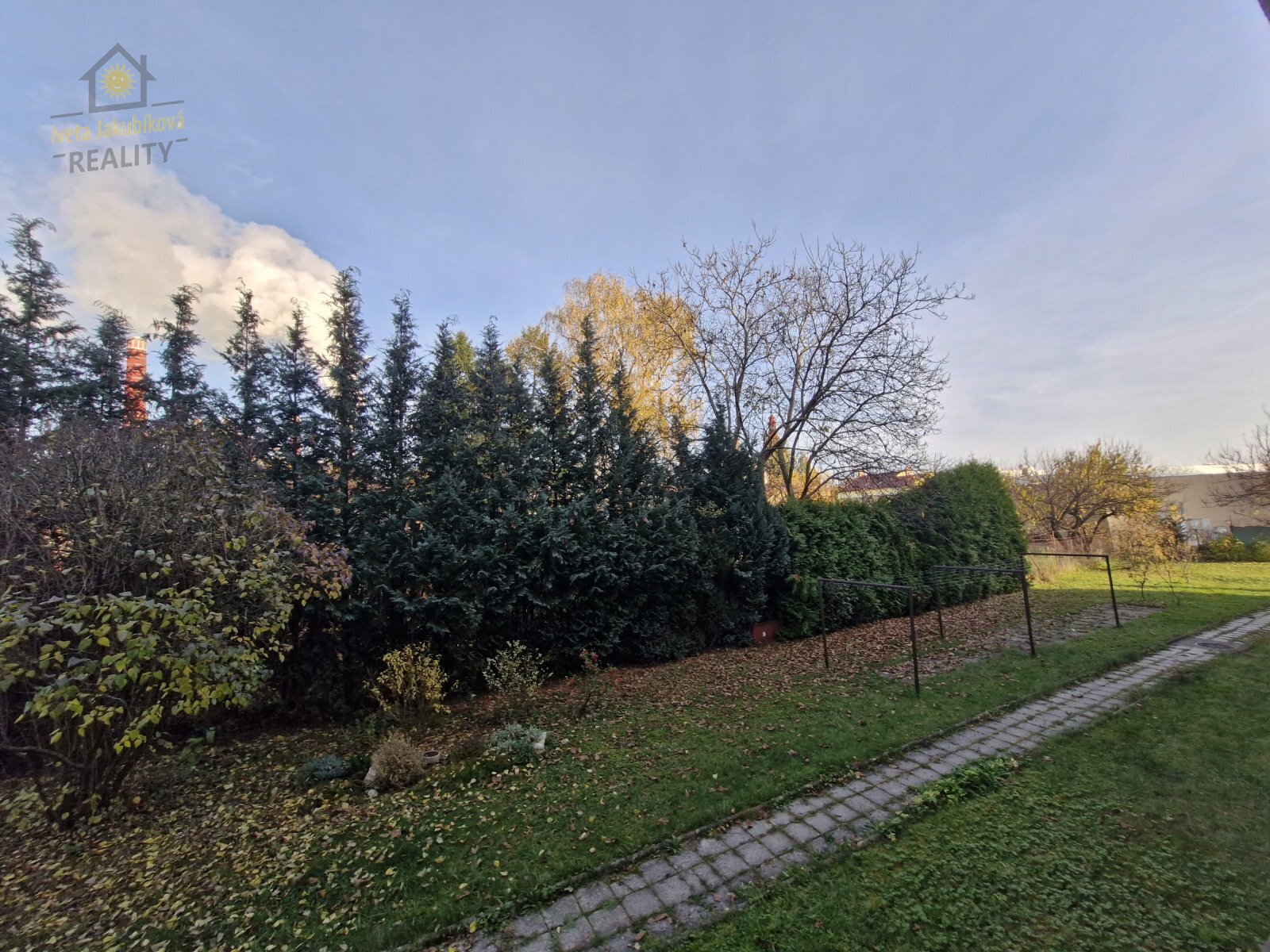20241103_144257.jpg
