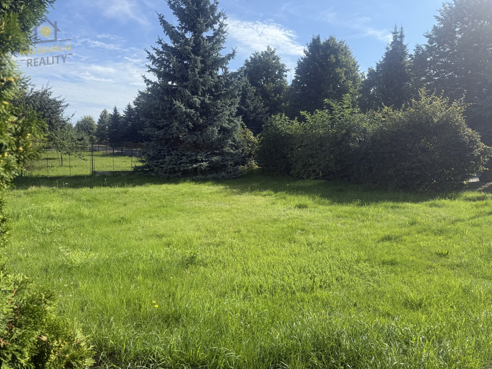IMG_6117.jpeg