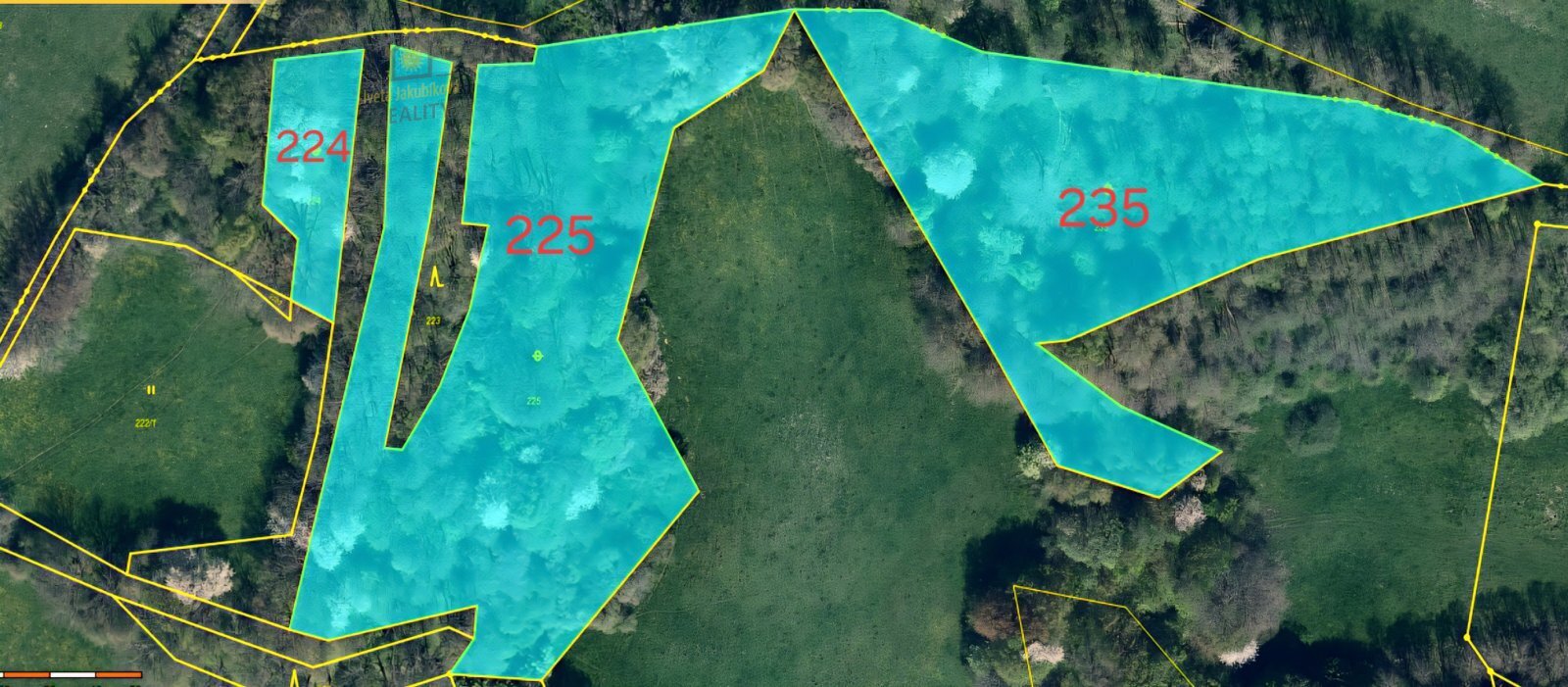 Kvítkov 224   225  235 .jpg