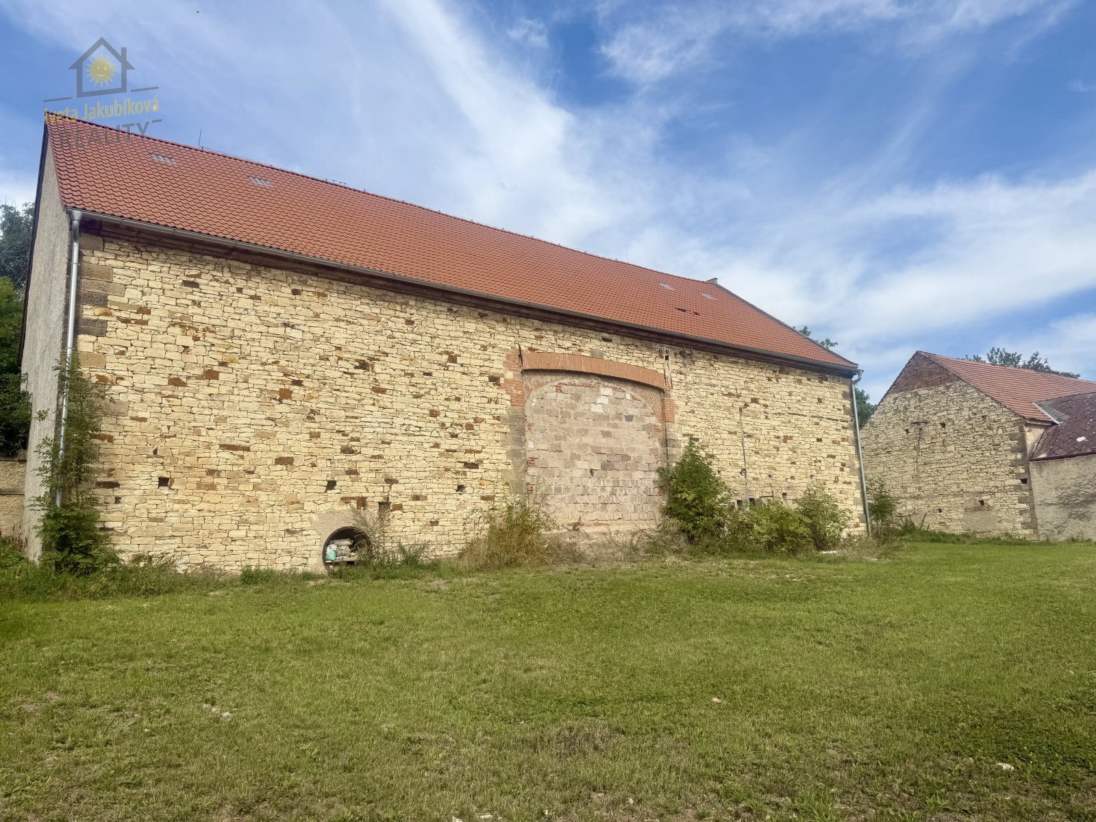 IMG_6921.jpeg