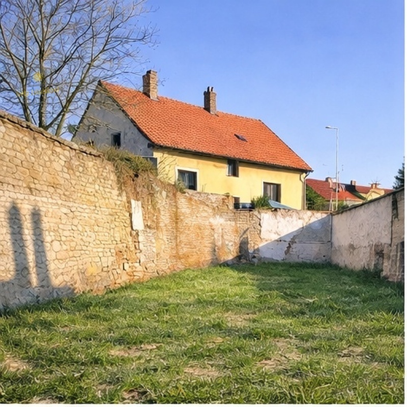 fotka_1_800px.jpg
