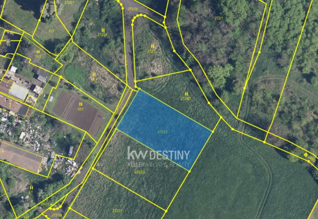 Snímek obrazovky 2026-02-04 132556