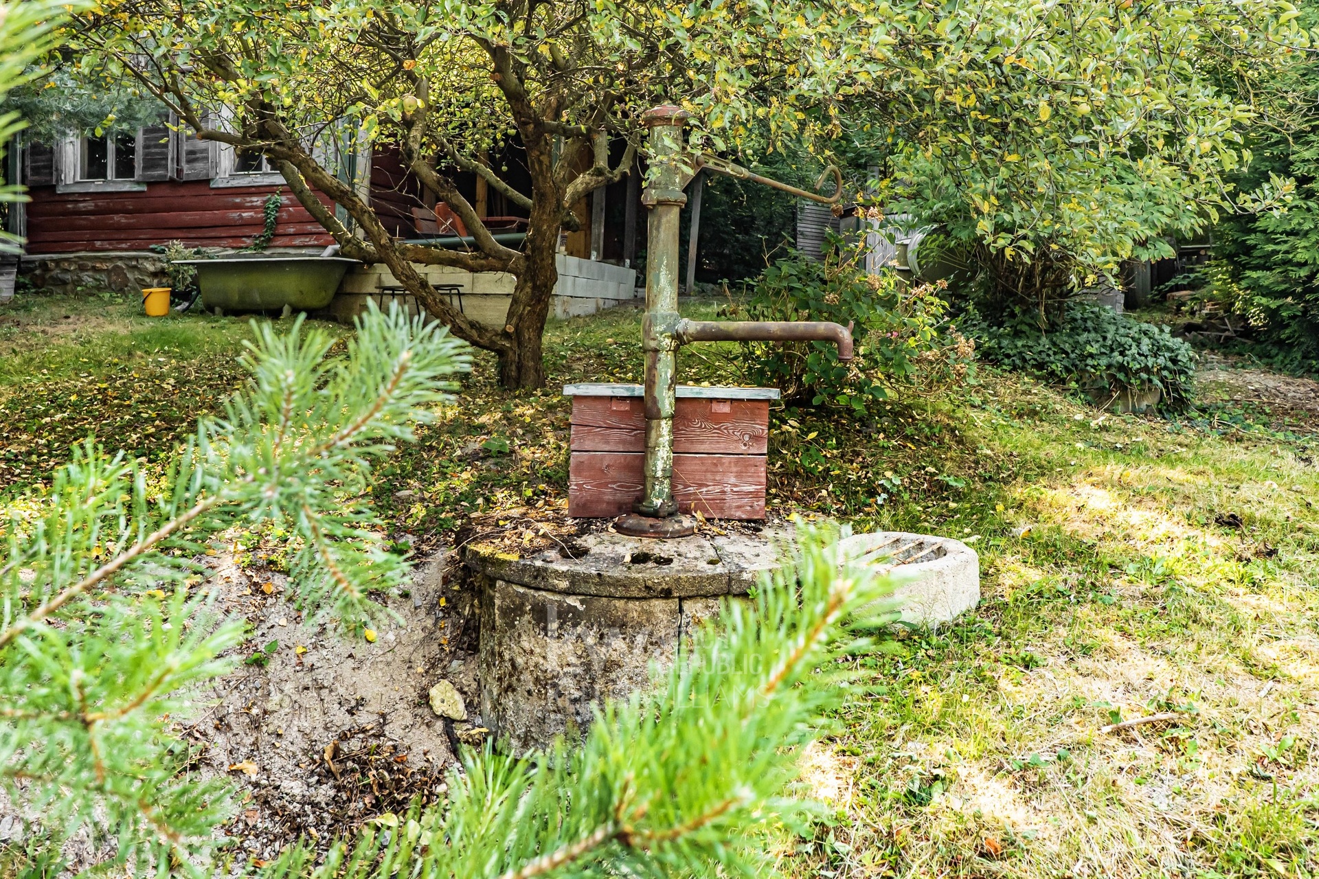 P1547303