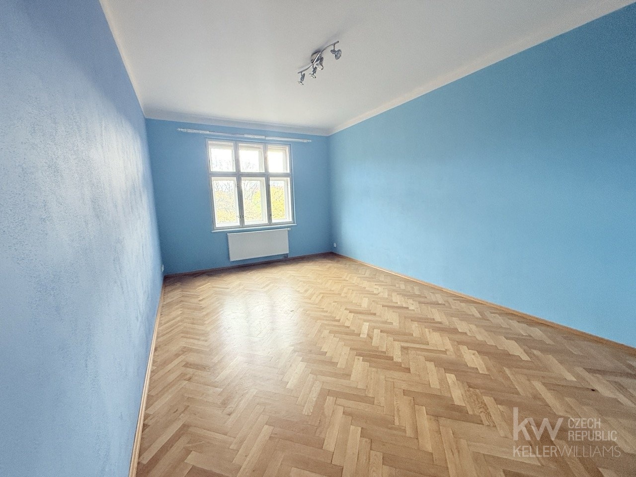 IMG_5347 ve velke? velikosti