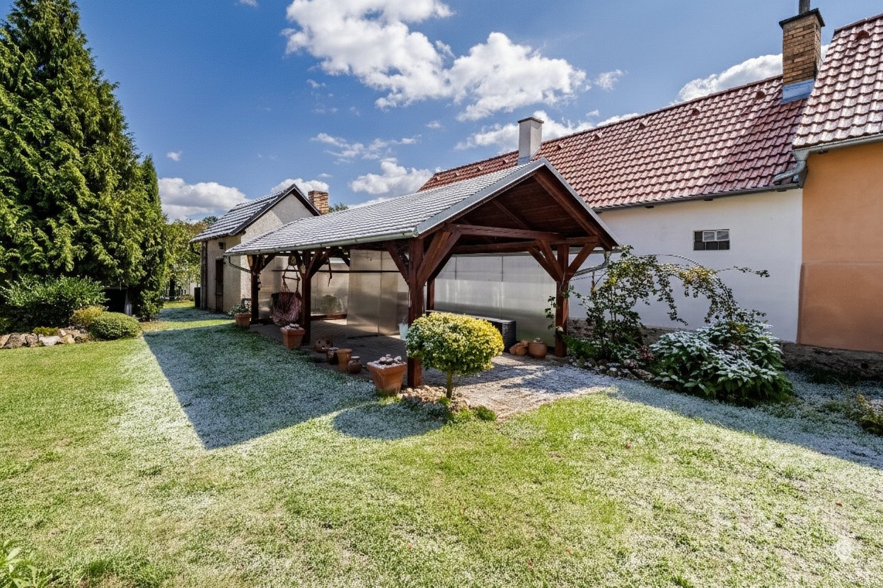 Gemini_Generated_Image_wf9t9swf9t9swf9t