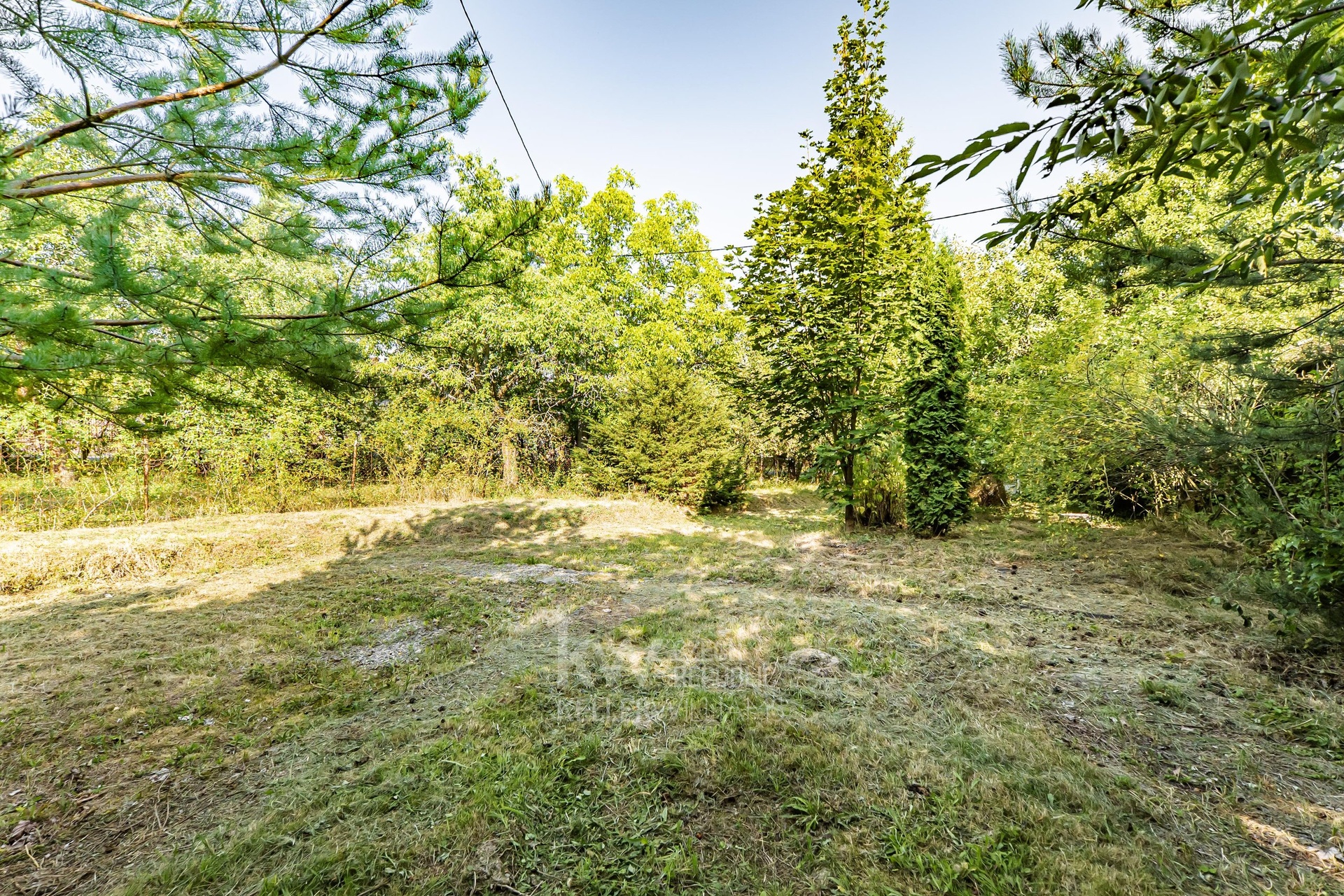 P1547283