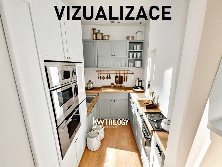BRIZ_Vizualizace (1)