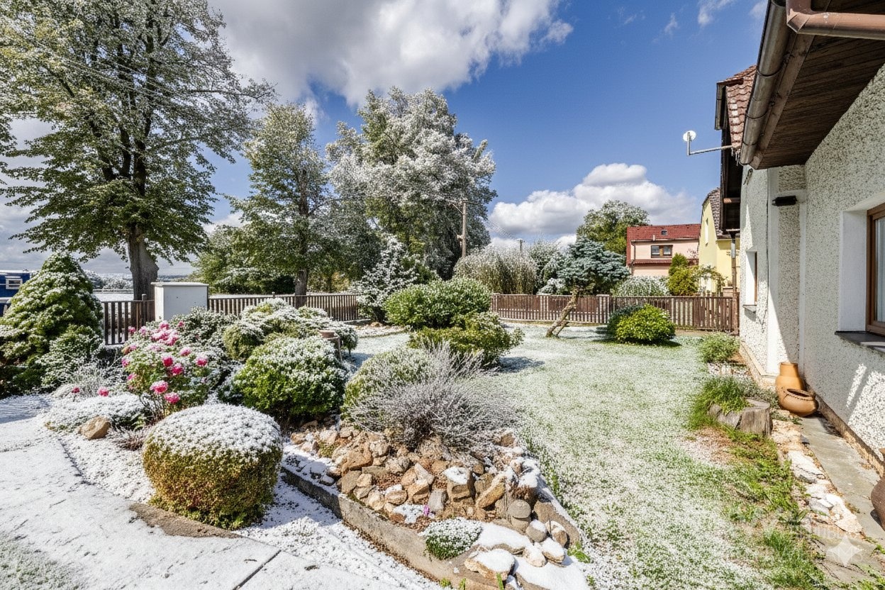 Gemini_Generated_Image_1gwwcl1gwwcl1gww