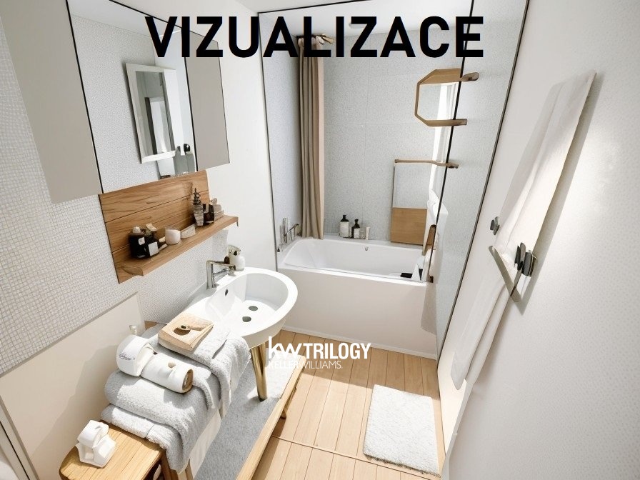 BRIZ_Vizualizace (2)