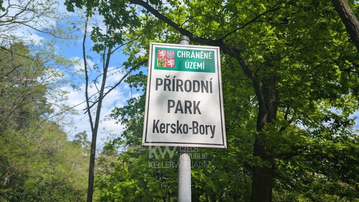 PXL_20250502_124849407