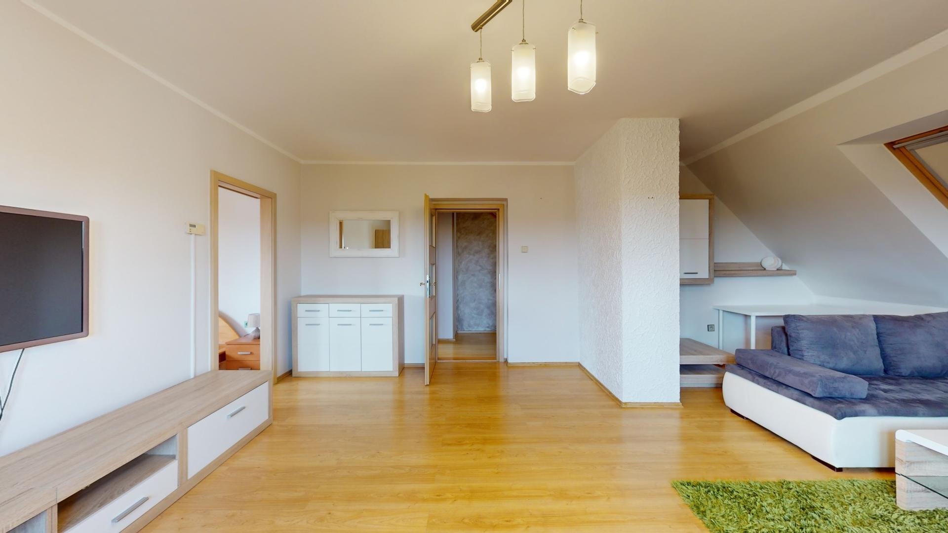 7. Pronajem-41-Tabor-Cekanice-07262024_095735